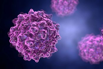 Identify vaccine testing against virus particles in the immune system.