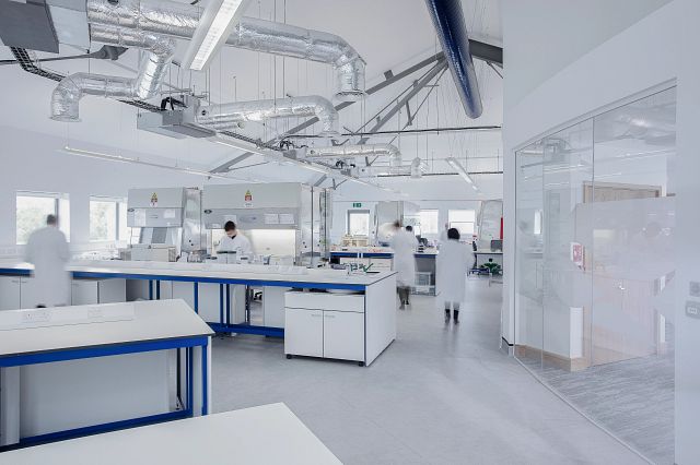 Clinical Biomarker Lab for PD Biomarker Assay.