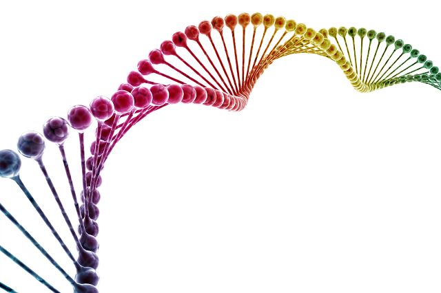 DNA multi color isolated on white background.