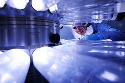scientist looking at a safety assessment device.