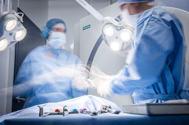 Charles River offers medical device testing for orthopedic medical devices.