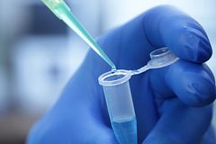 gloved hand holding pippette with liquid over epindorph tube