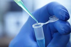 gloved hand holding pippette with liquid over epindorph tube