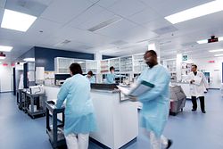 Scientists at work in a lab.