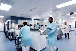 Scientists at work in a lab.