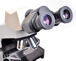 Microscope