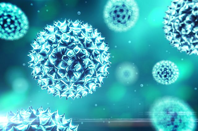 digital rendering of a cell