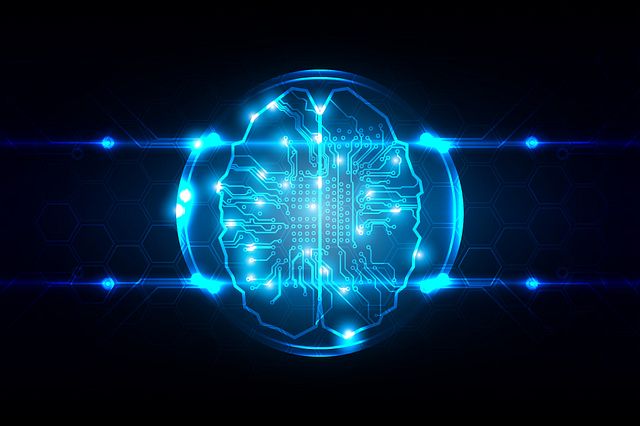 brain