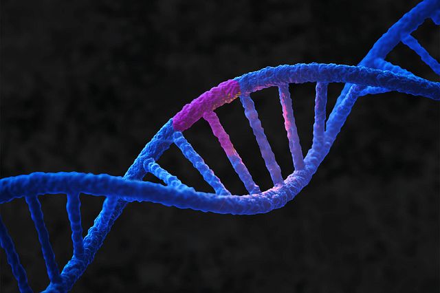 A graphical image of a DNA helix with a purple discolored portion to indicate a genetic mutation relevant to rare disease.