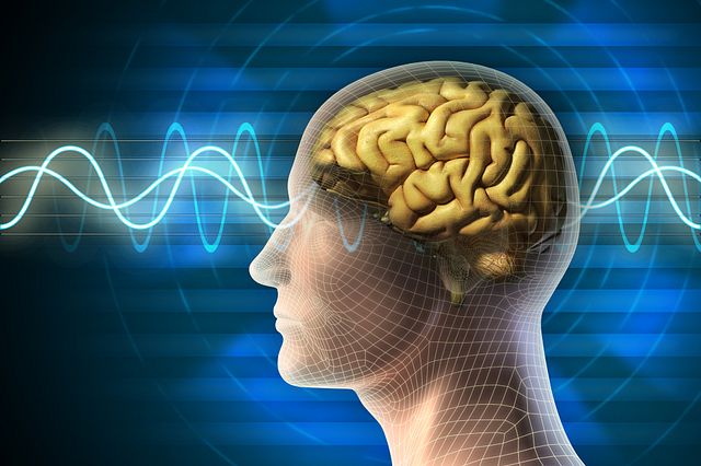 An image of a human brain inside a human head with electroactive signals or waves over-laid.