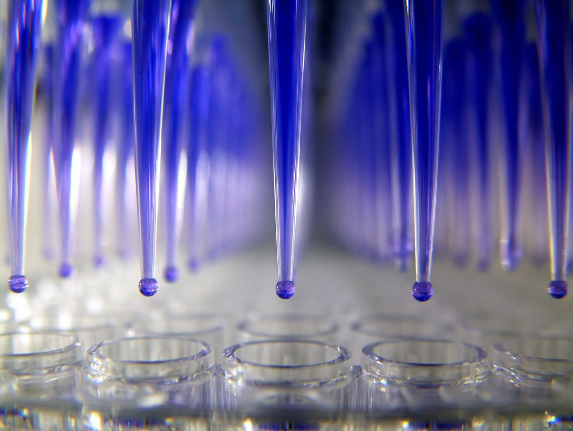 Automated Cell Based Assays Novel Tools Overcome The Barriers To Drug Automated Cell Based Assays Novel Tools Overcome The Barriers To Drug