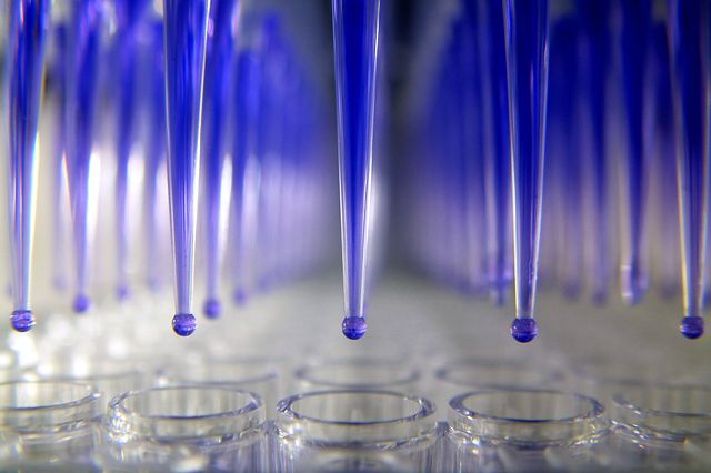 Compounds from one of the Charles River screening libraries are transferred to a microtiter plate via auto-pipetting.
