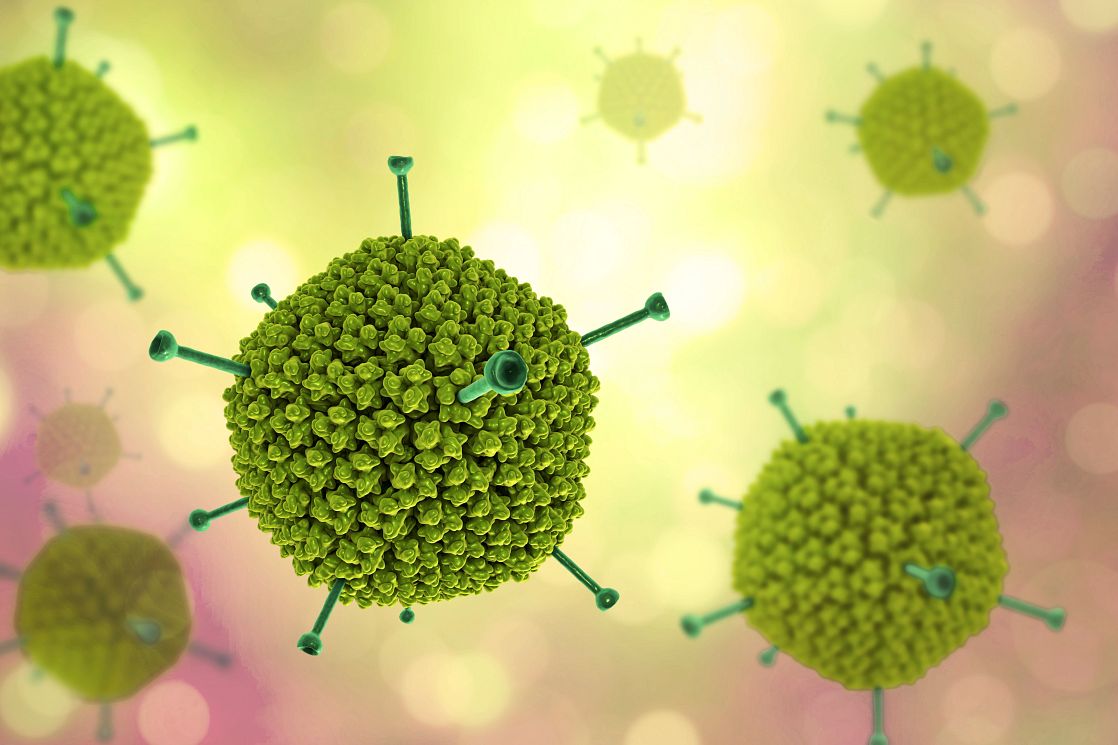 Molecular model of Adenovirus, a DNA-virus 
