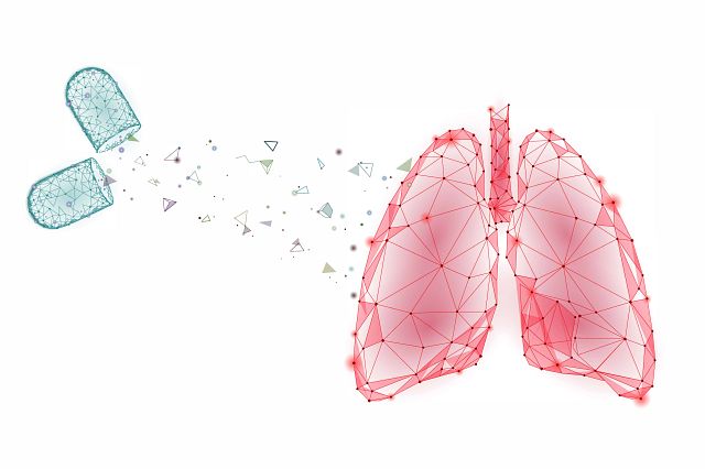 digital image of lungs