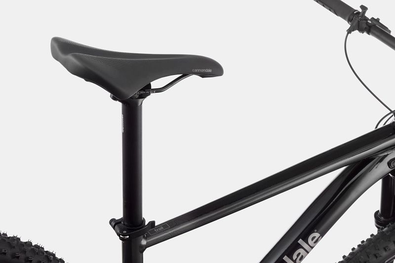 Cannondale trail sl3 store price