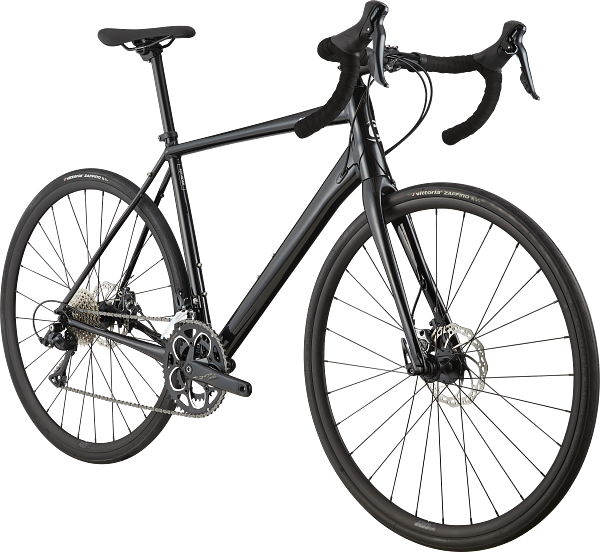 Synapse 2 Road Endurance Bike