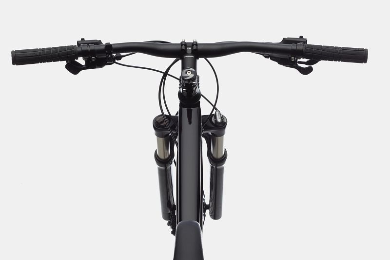 2020 cannondale trail 5