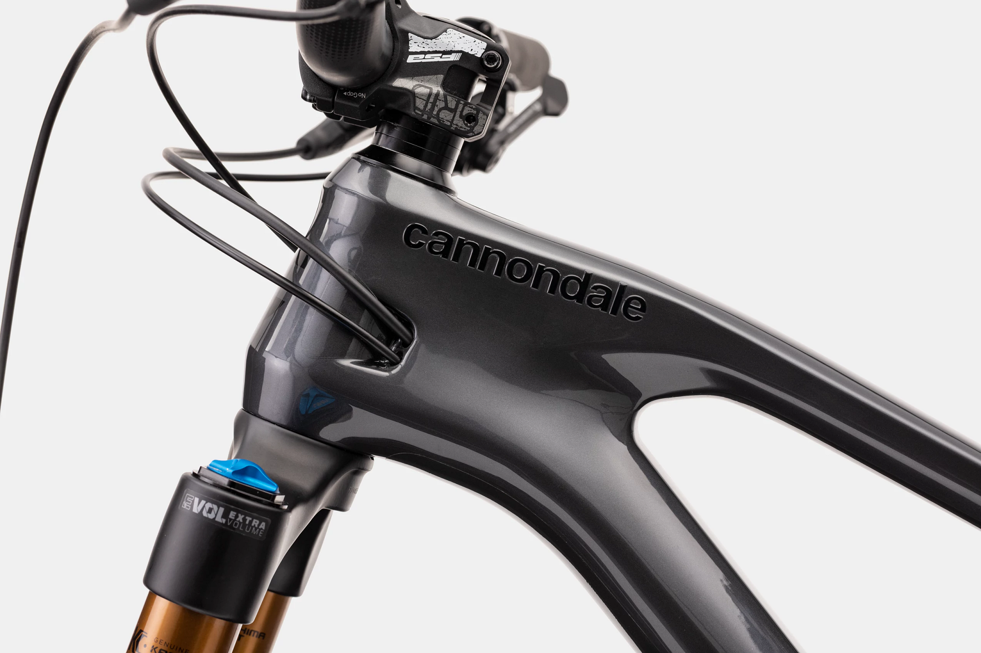 引取希望 Cannondale Jekyll Carbon 2