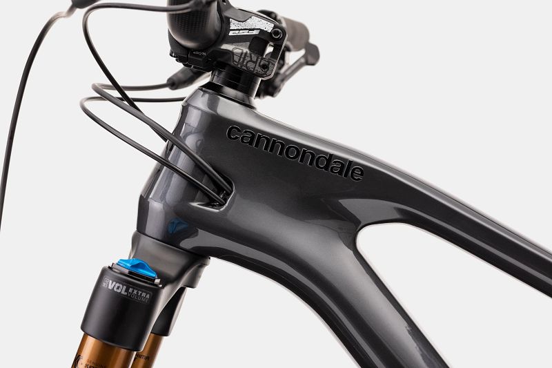 Cannondale brake hot sale lever