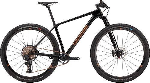 Mountain bike best sale black and gold