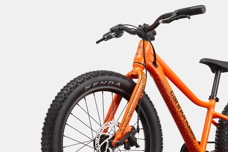 Cannondale trail 2024 20 review