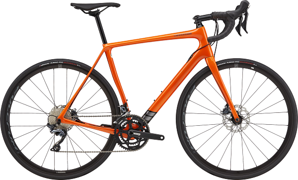 Synapse Carbon Ultegra Road Endurance Bike