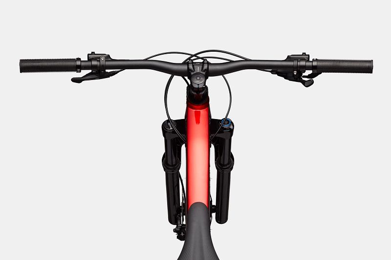 Cannondale habit 4 deals 2019