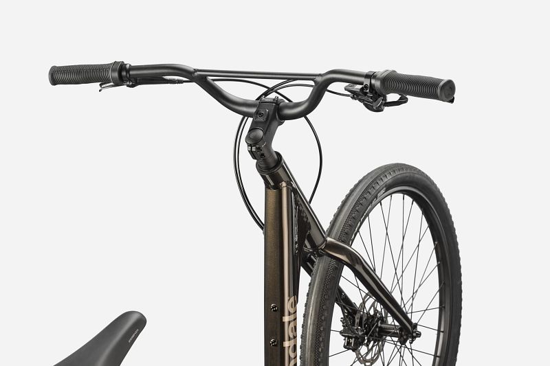 Treadwell 2 Low StepThru | Hybrid Bikes | Cannondale