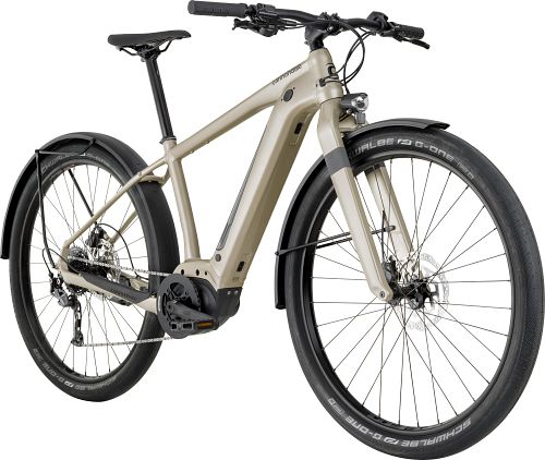 Cannondale canvas clearance