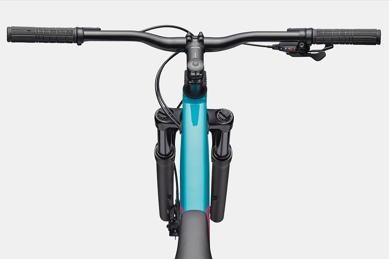 トレイリー　TRAILLY レッドクリアゴールド 中古)Cinelli (チネリ) 【未使用品】2024モデル KING ZYDECO