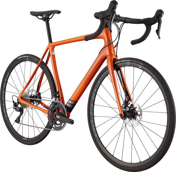 Synapse Carbon Ultegra Road Endurance Bike
