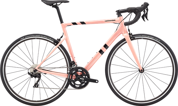 CAAD13 105 Road Race Bike