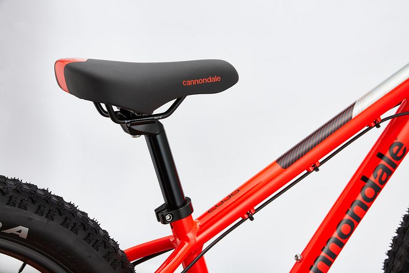 Cannondale cujo 20 inch online