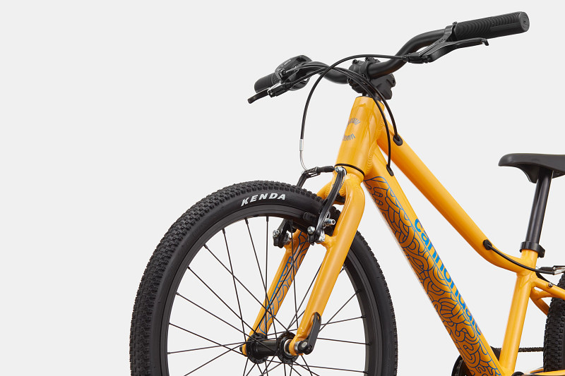 Kids Quick 20 | 7 to 12 Bikes | Cannondale