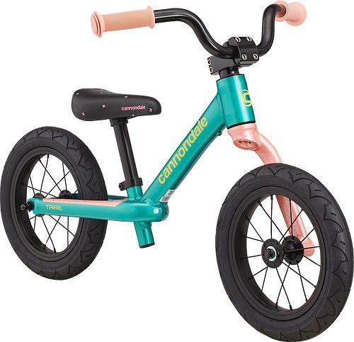 Kids cannondale bike best sale