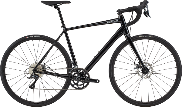 Synapse 2 Road Endurance Bike