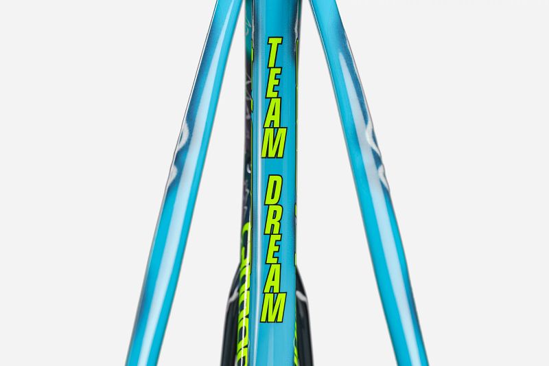 CAAD14 Team Dream Frameset | Road Race Bikes | Cannondale