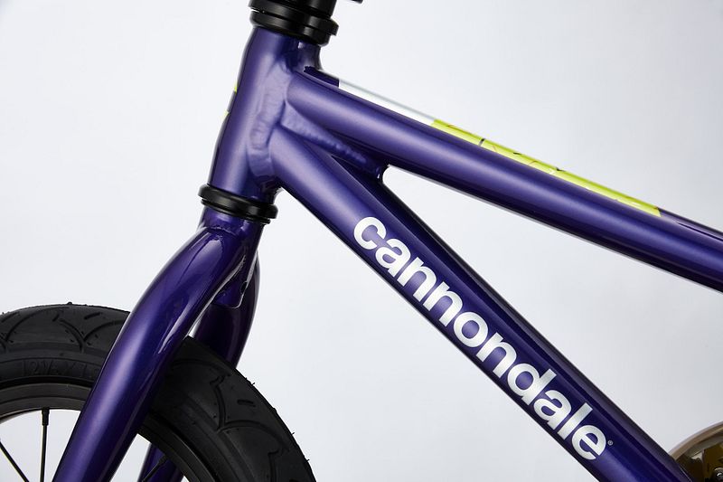 Cannondale girl's discount trail 24 purple