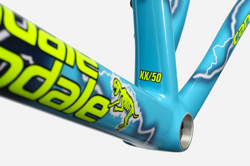 CAAD14 Team Dream Frameset | Road Race Bikes | Cannondale