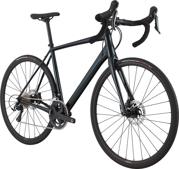 Synapse 1 Road Endurance Bike