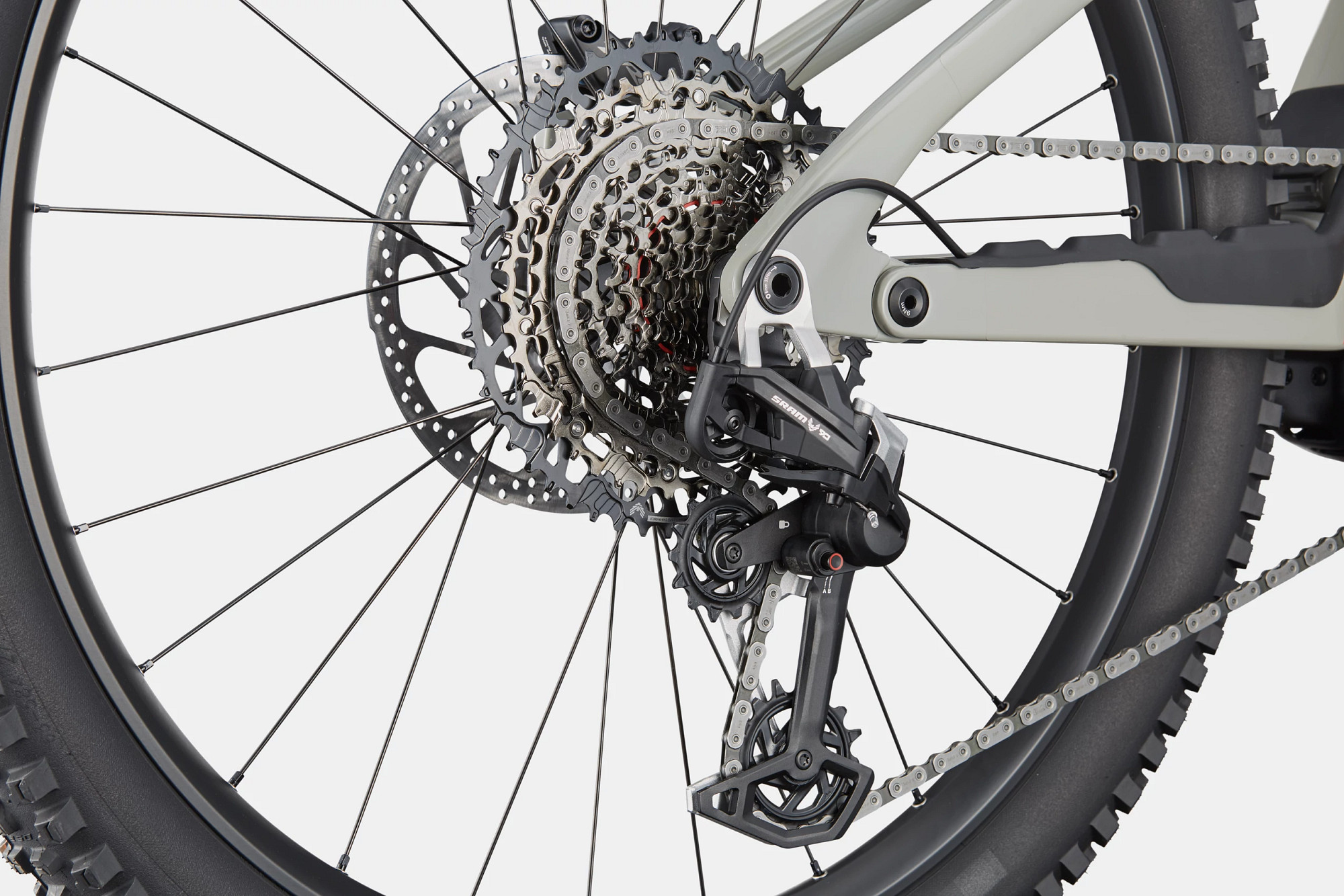 Cannondale Moterra LT 1 close up detail on a studio background