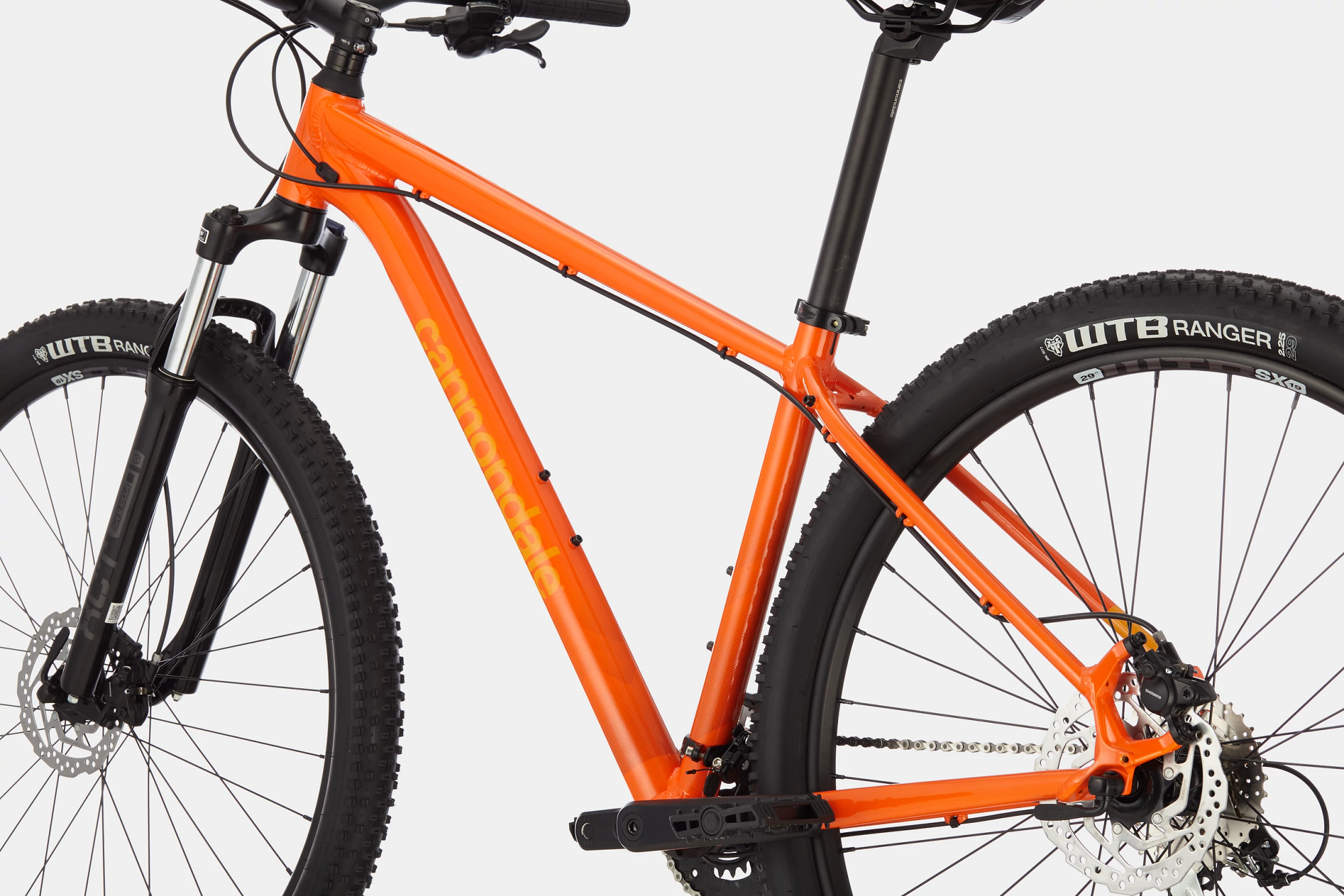 C21_C26601M_Trail_6_IOR_D5.png