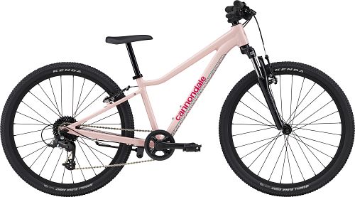 Cannondale girl's best sale trail 24 purple