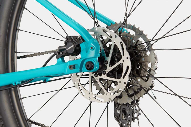 トレイリー　TRAILLY レッドクリアゴールド 中古)Cinelli (チネリ) 【未使用品】2024モデル KING ZYDECO
