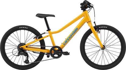 Kids Quick 20 | 7 to 12 Bikes | Cannondale