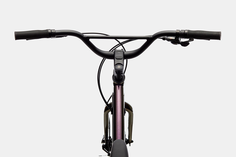 raleigh circa 2 mens