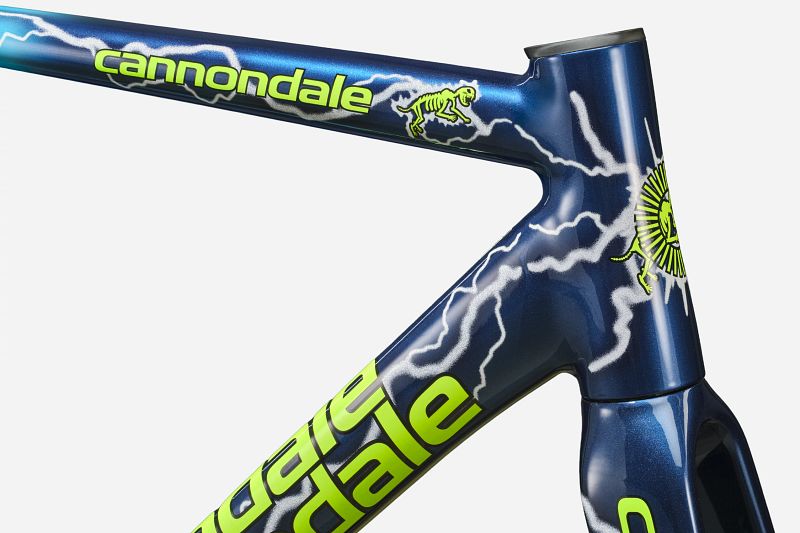 CAAD14 Team Dream Frameset | Road Race Bikes | Cannondale