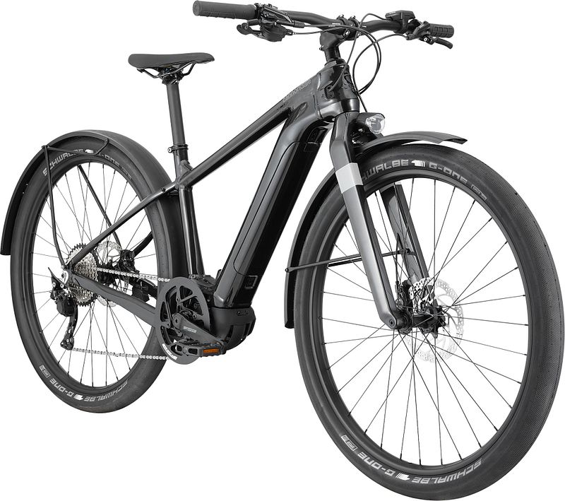 Cannondale canvas neo 2 electric 2024 bike