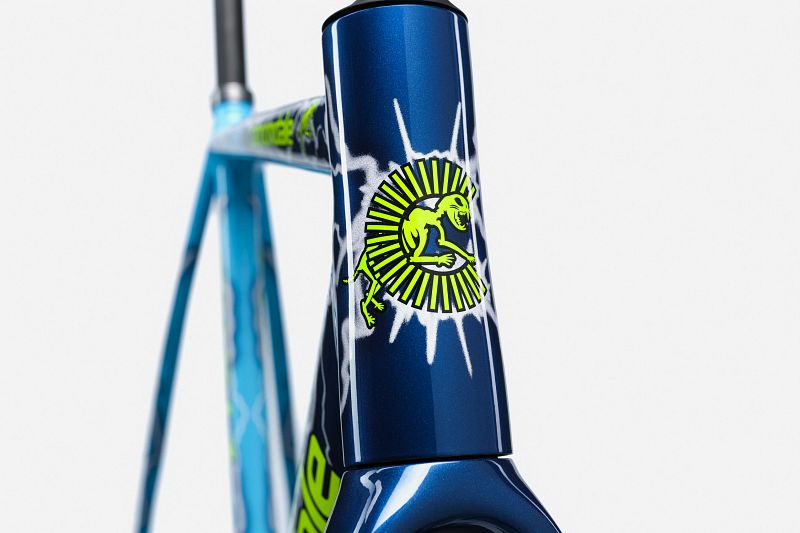 CAAD14 Team Dream Frameset | Road Race Bikes | Cannondale