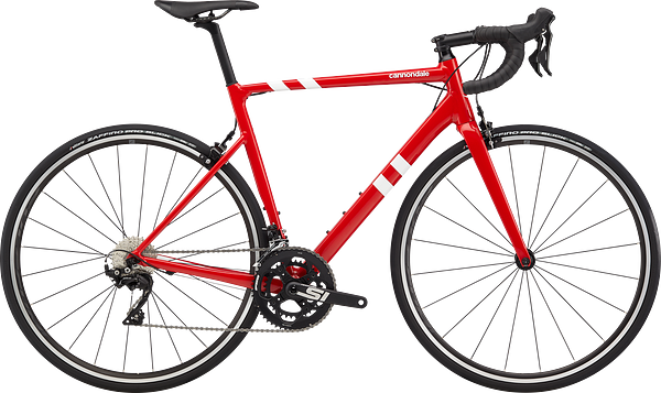 CAAD13 105 Road Race Bike